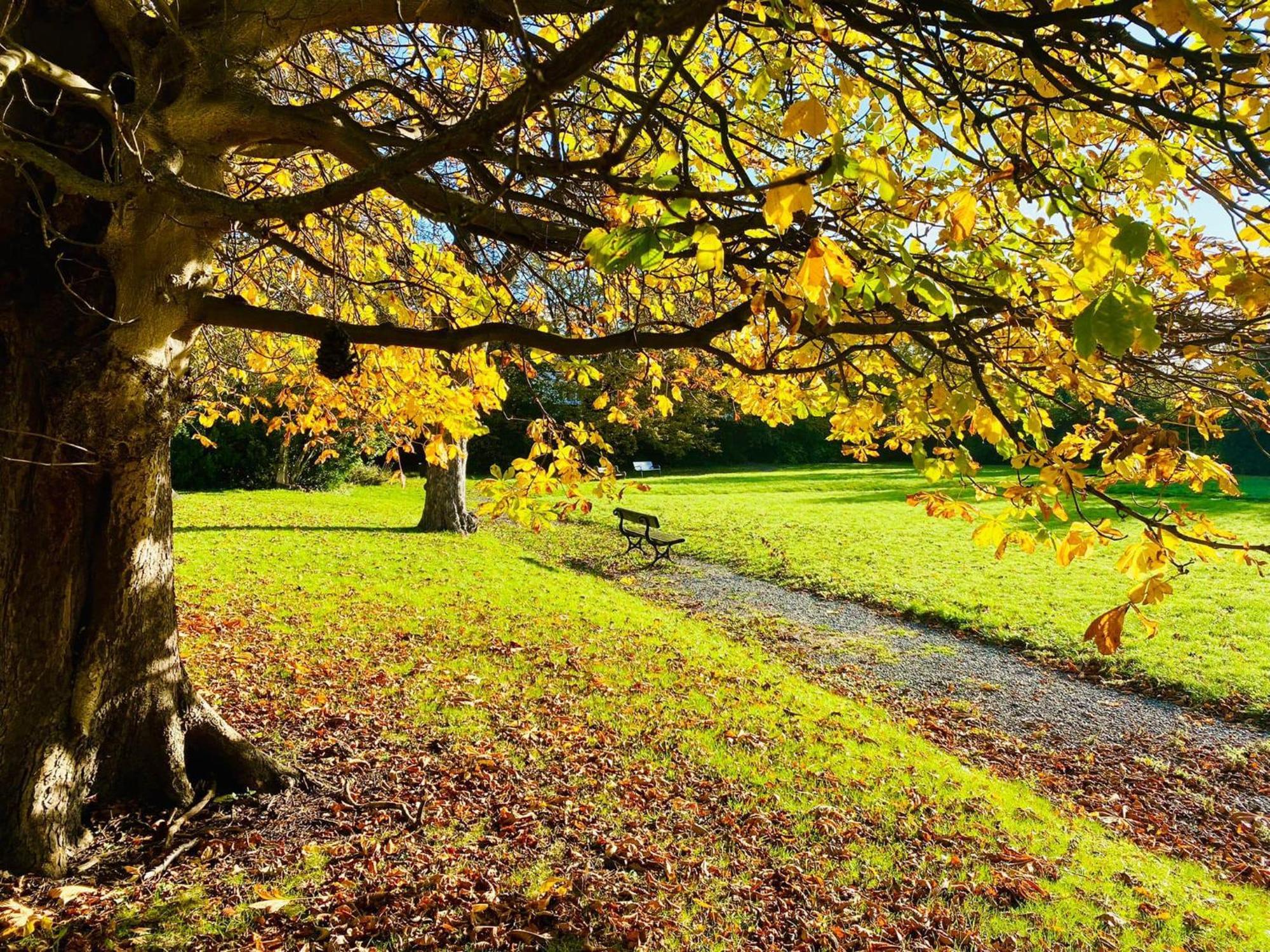 Endsleigh Park Hotel Kingston upon Hull Dış mekan fotoğraf